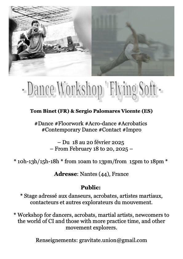 Flyer stage interdisciplinaire Flying’Soft, février 2025